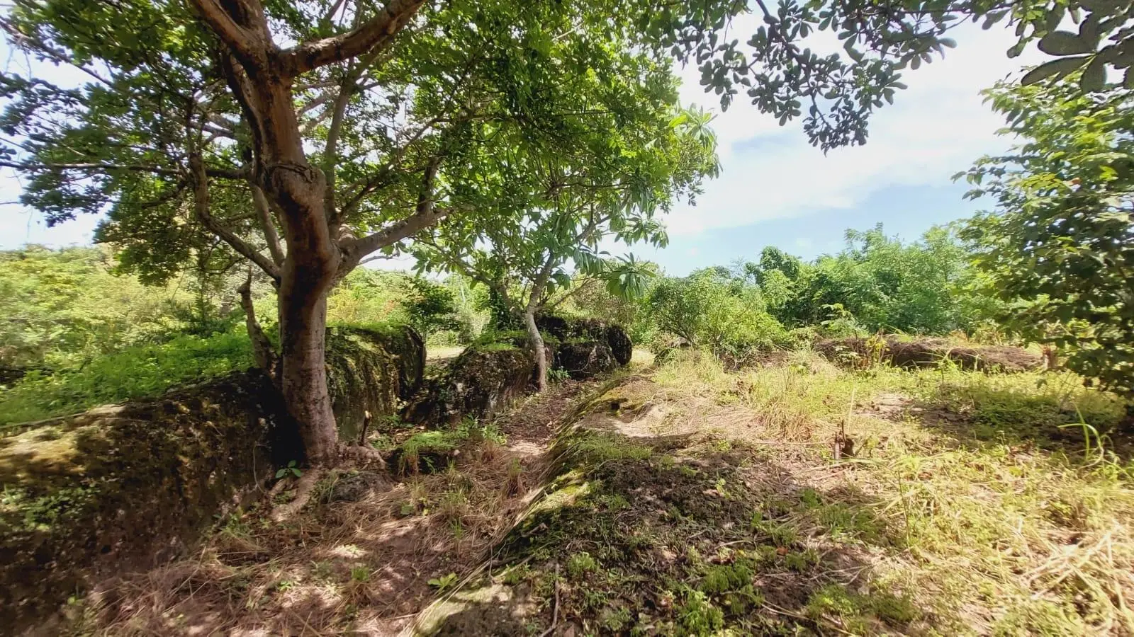 Calle Sn, Detrás Coronado Center #lote - Photo 66