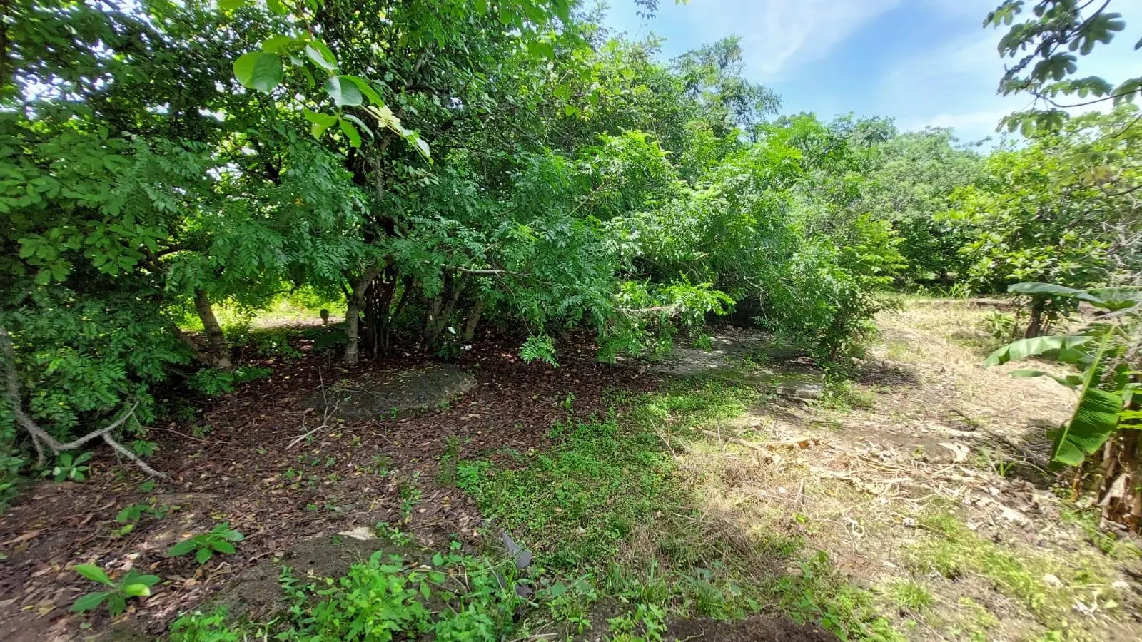 Calle Sn, Detrás Coronado Center #lote - Photo 37