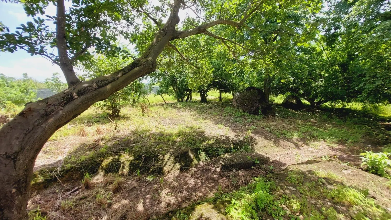 Calle Sn, Detrás Coronado Center #lote - Photo 61