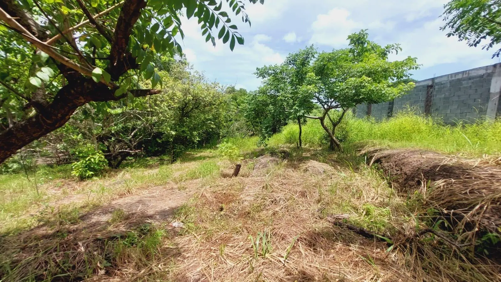 Calle Sn, Detrás Coronado Center #lote - Photo 87