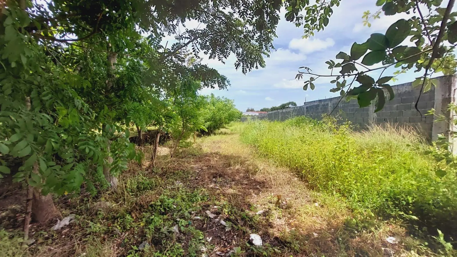 Calle Sn, Detrás Coronado Center #lote - Photo 68