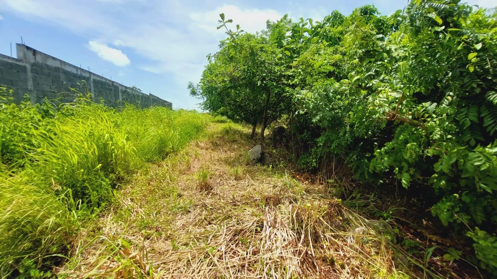 Calle Sn, Detrás Coronado Center #lote - Photo 92
