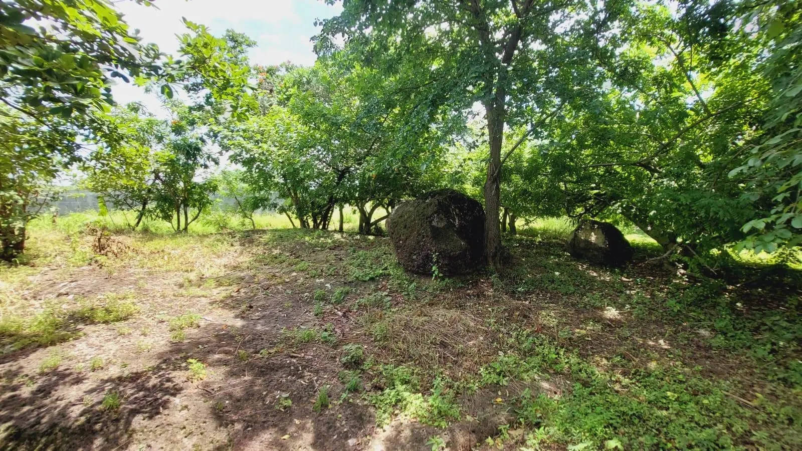 Calle Sn, Detrás Coronado Center #lote - Photo 48