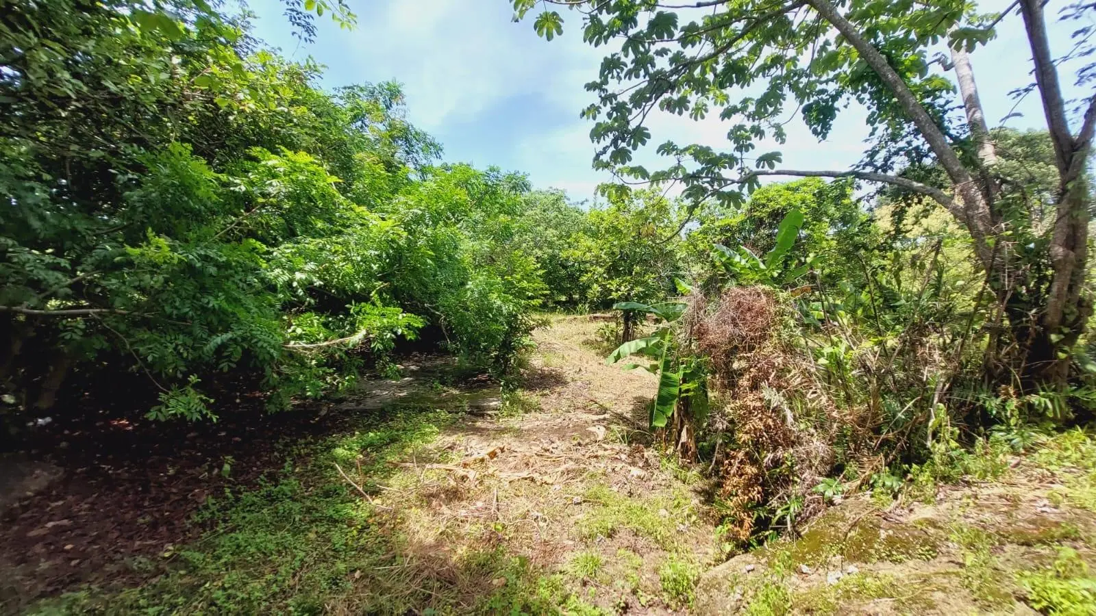 Calle Sn, Detrás Coronado Center #lote - Photo 44