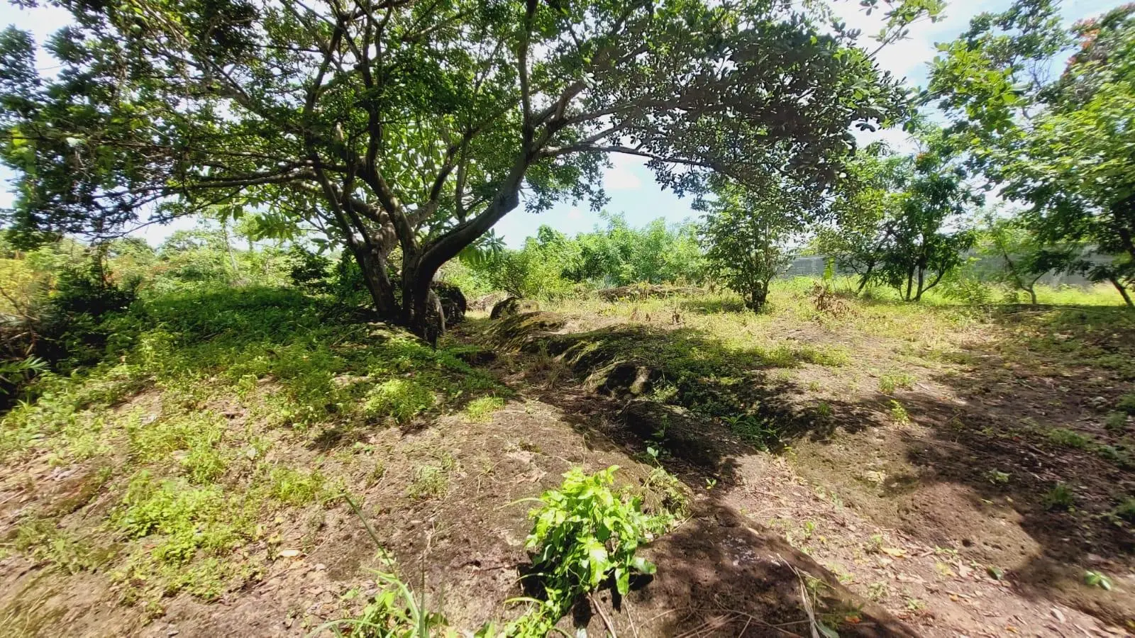 Calle Sn, Detrás Coronado Center #lote - Photo 51