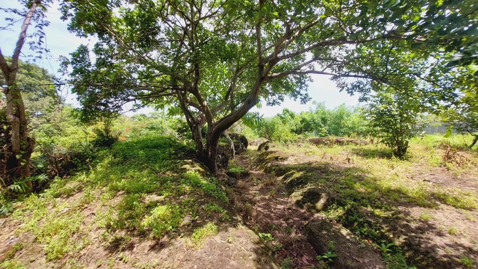 Calle Sn, Detrás Coronado Center #lote - Photo 40