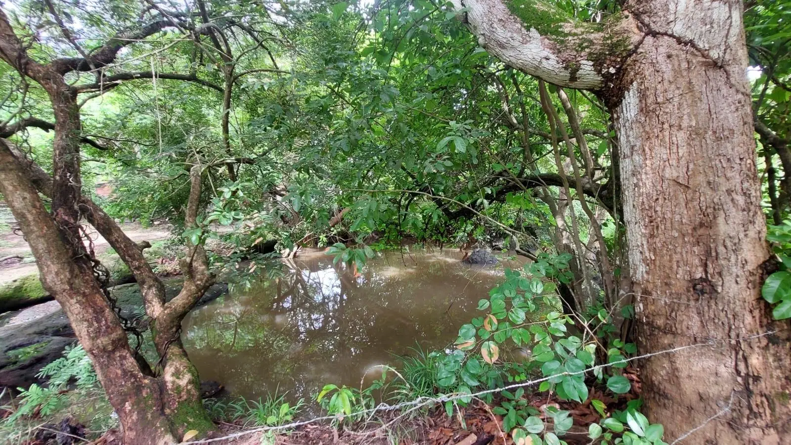 Calle Sn, Detrás Coronado Center #lote - Photo 78