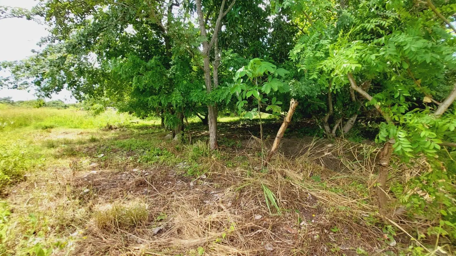 Calle Sn, Detrás Coronado Center #lote - Photo 5