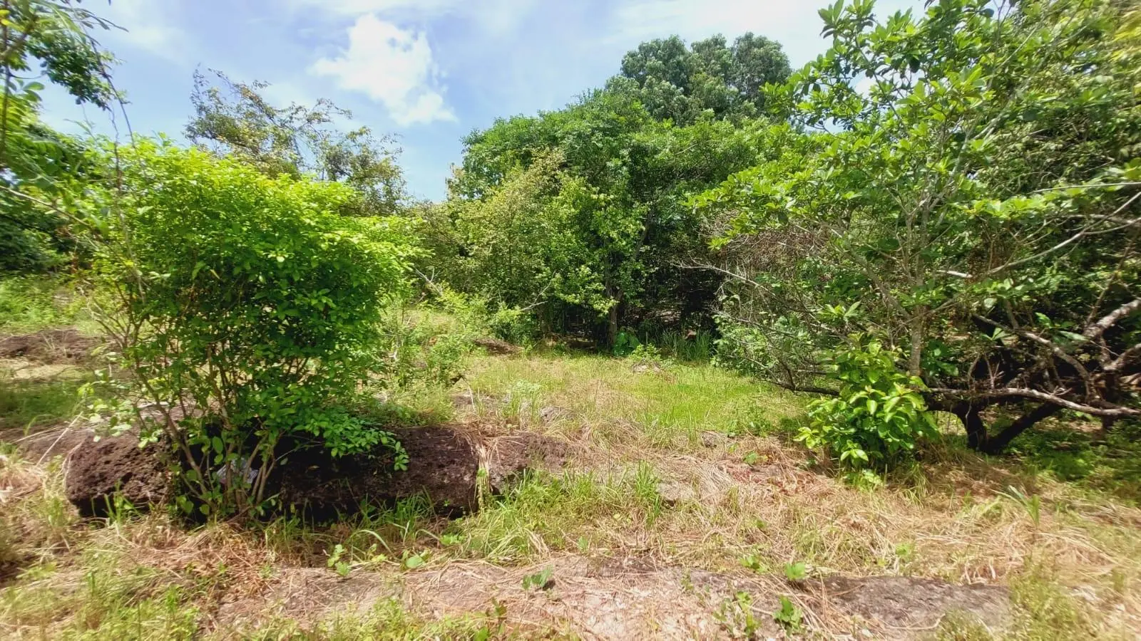 Calle Sn, Detrás Coronado Center #lote - Photo 83