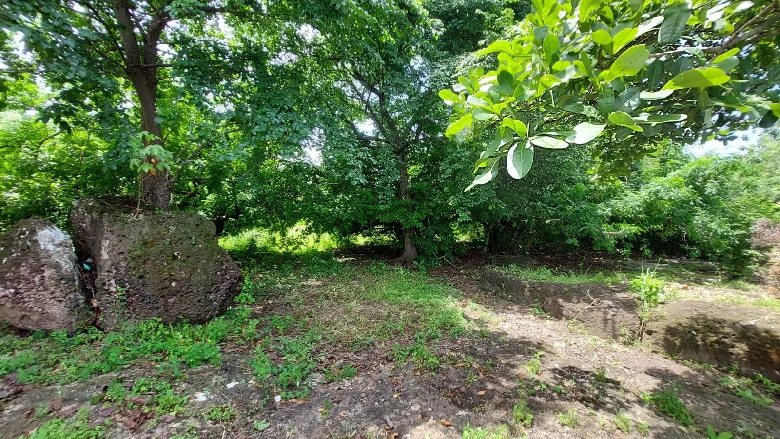 Calle Sn, Detrás Coronado Center #lote - Photo 26