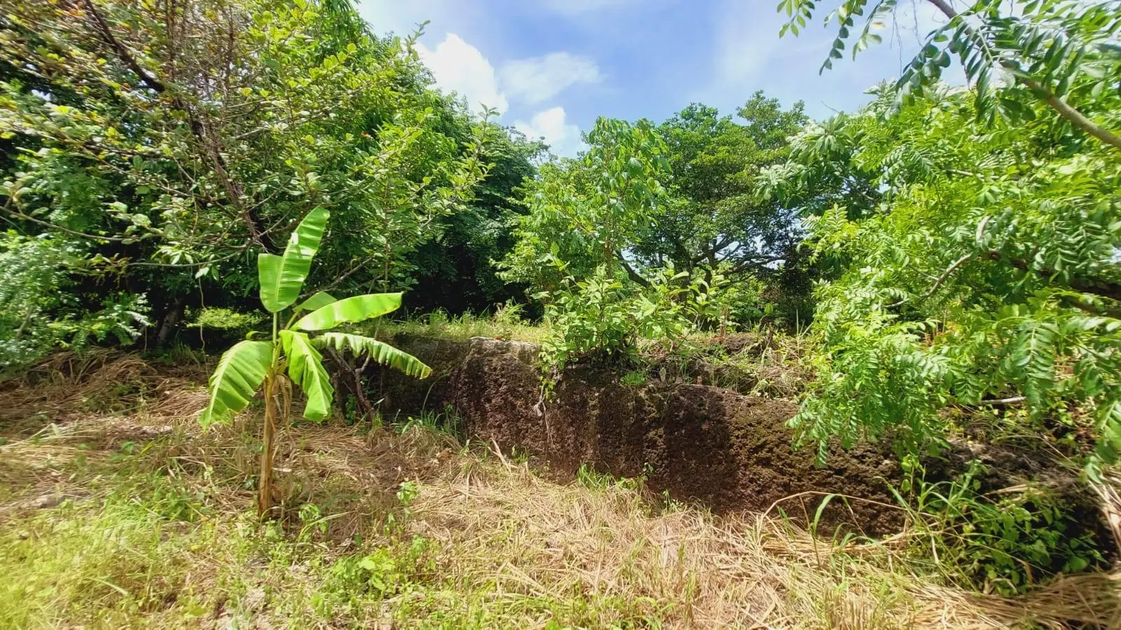 Calle Sn, Detrás Coronado Center #lote - Photo 79