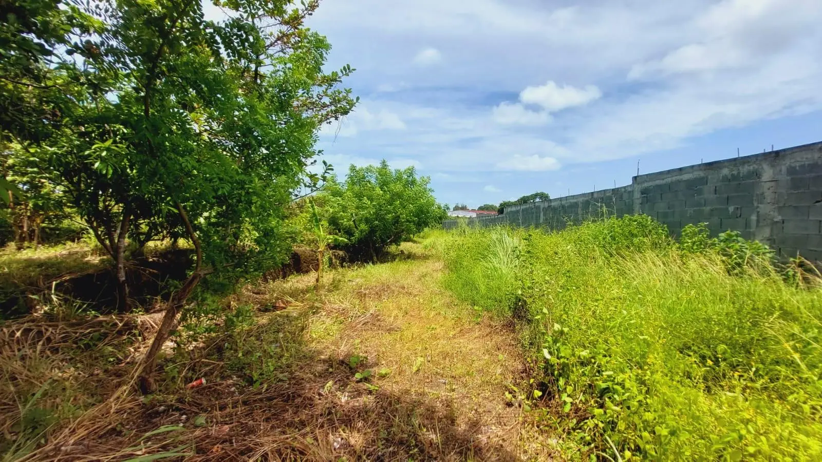 Calle Sn, Detrás Coronado Center #lote - Photo 3