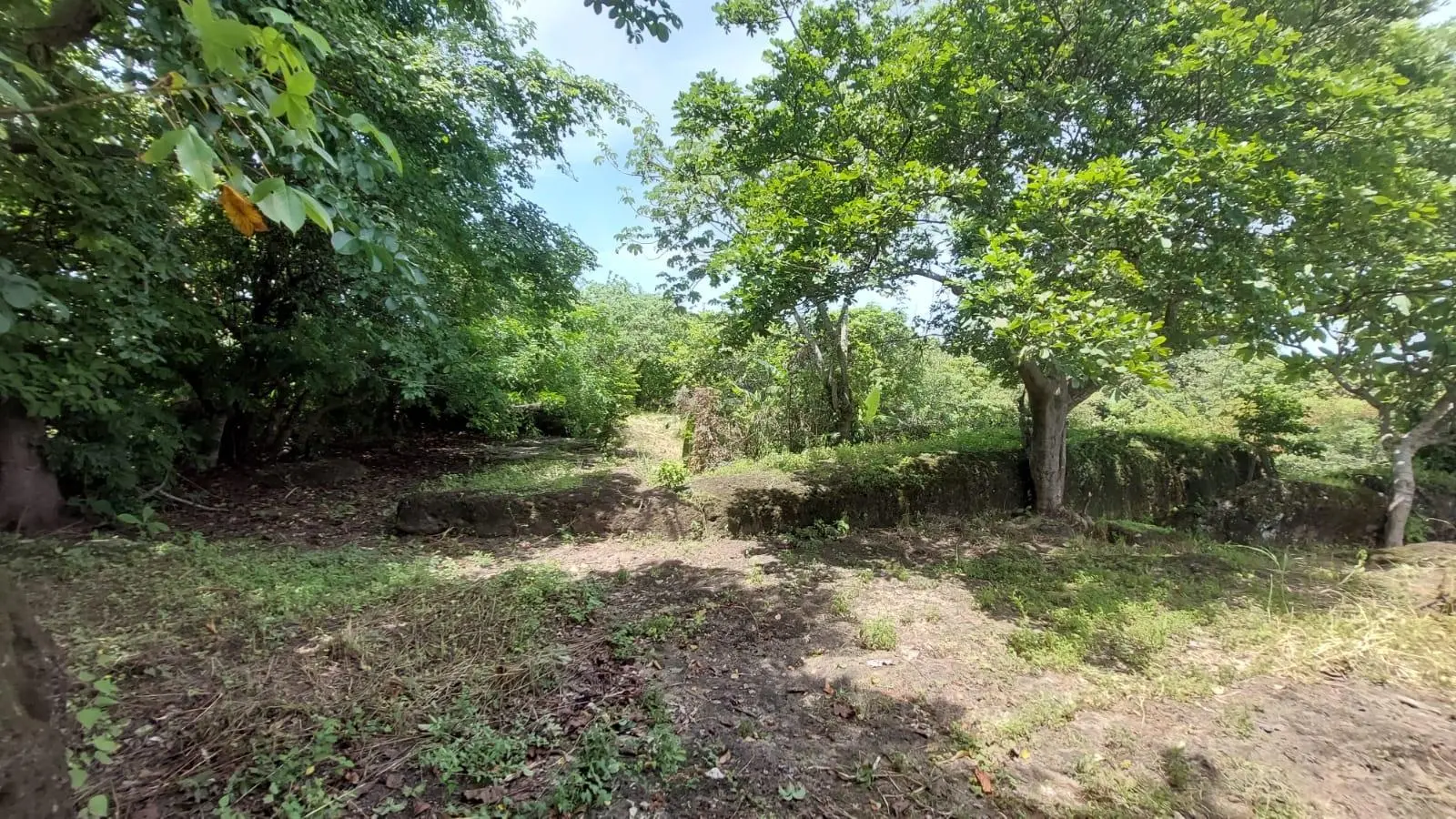 Calle Sn, Detrás Coronado Center #lote - Photo 8