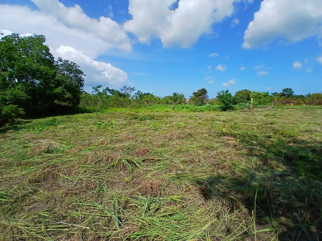 San Jose, Entrando Por M/s Diane Al Final, Girar A La Izquierda Y Luego A La Der - Photo 25