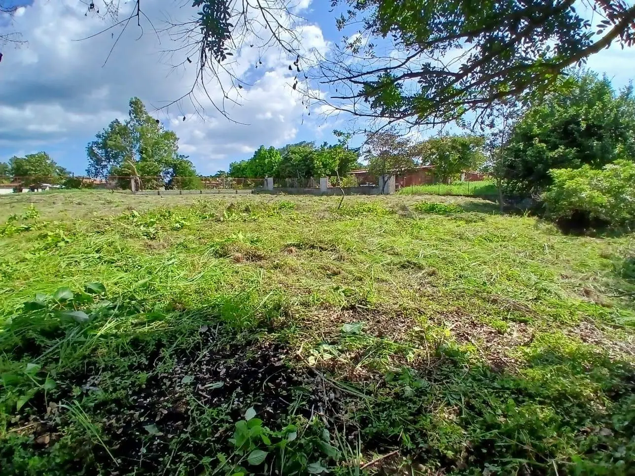 San Jose, Entrando Por M/s Diane Al Final, Girar A La Izquierda Y Luego A La Der - Photo 9