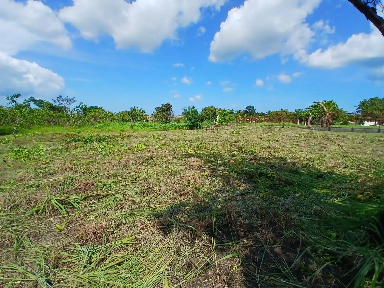 San Jose, Entrando Por M/s Diane Al Final, Girar A La Izquierda Y Luego A La Der - Photo 6
