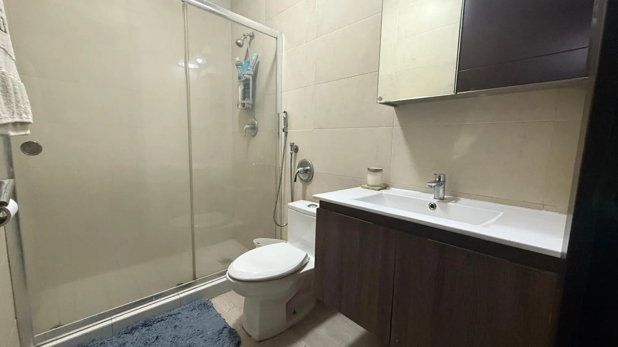 8 C Avenidad La Rotanda Con Calle Mira Mar Costa Del Este #8 C - Photo 18