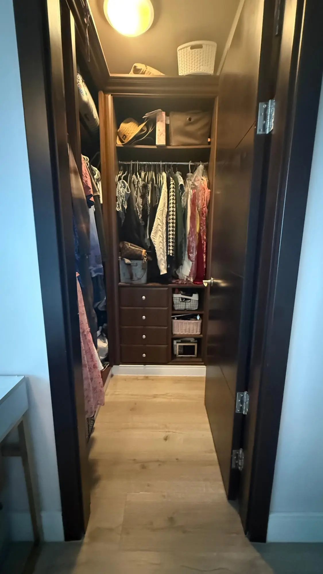 8 C Avenidad La Rotanda Con Calle Mira Mar Costa Del Este #8 C - Photo 15