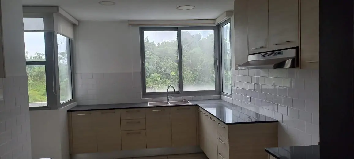 Altos De Panamá #4 H - Photo 9