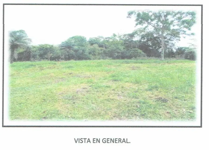 Potrerillos, Chiriquí - Photo 19