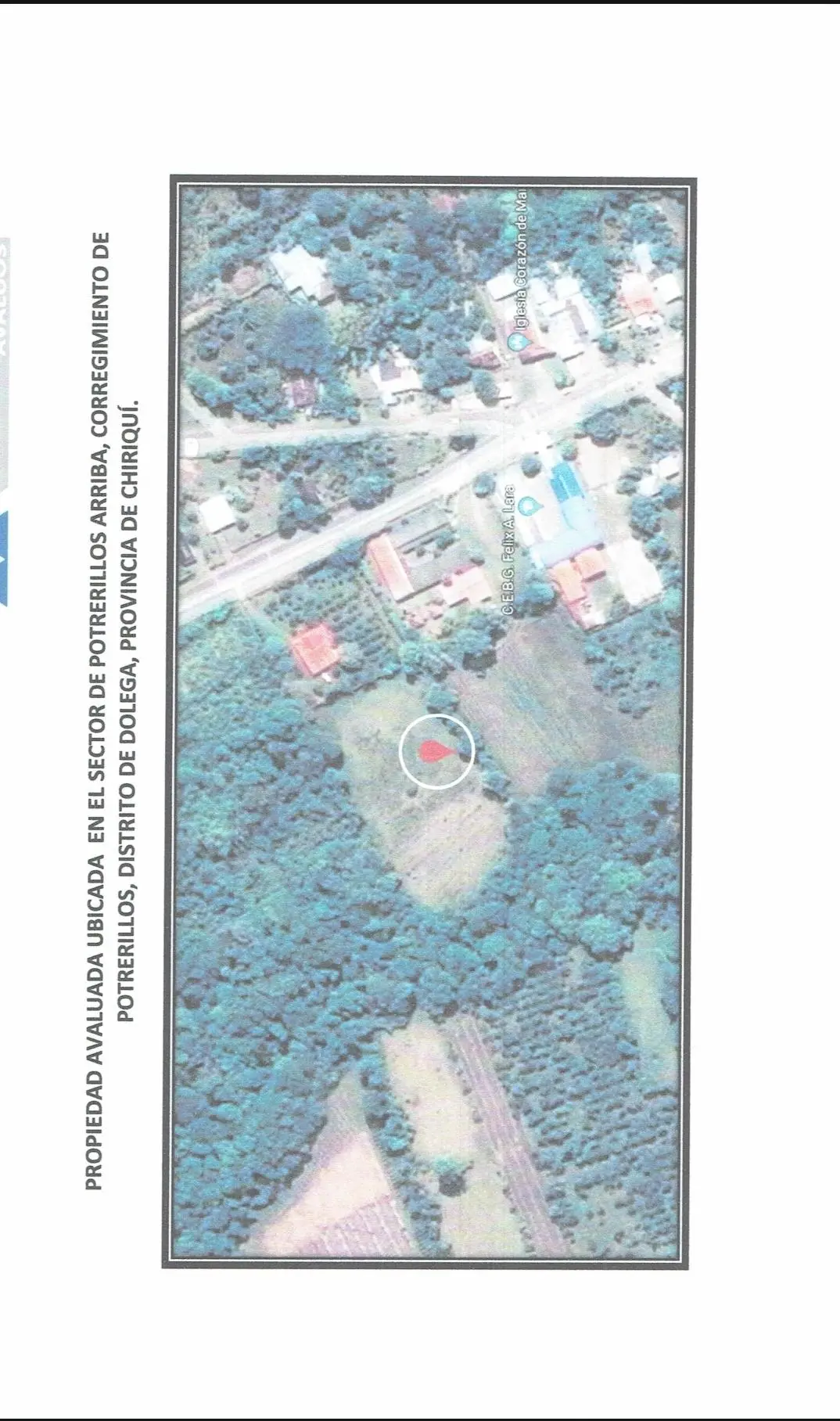 Potrerillos, Chiriquí - Photo 14