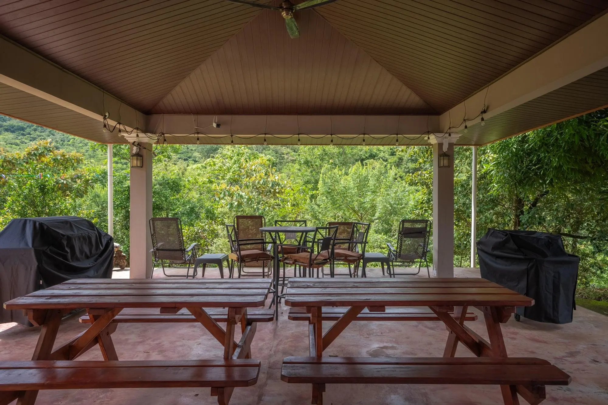 Torio Veraguas Panama - Photo 151