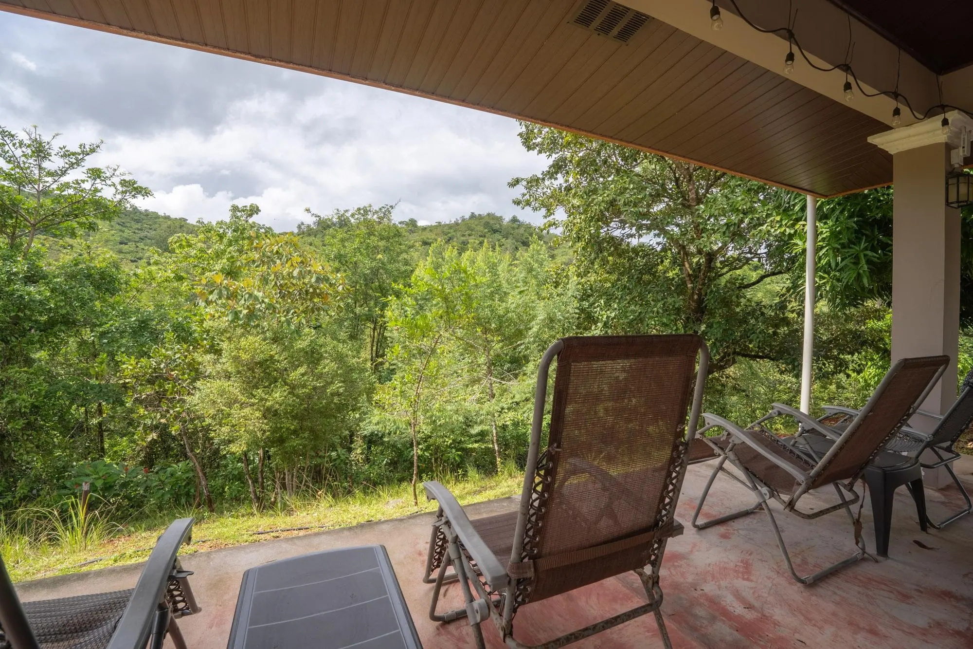 Torio Veraguas Panama - Photo 148