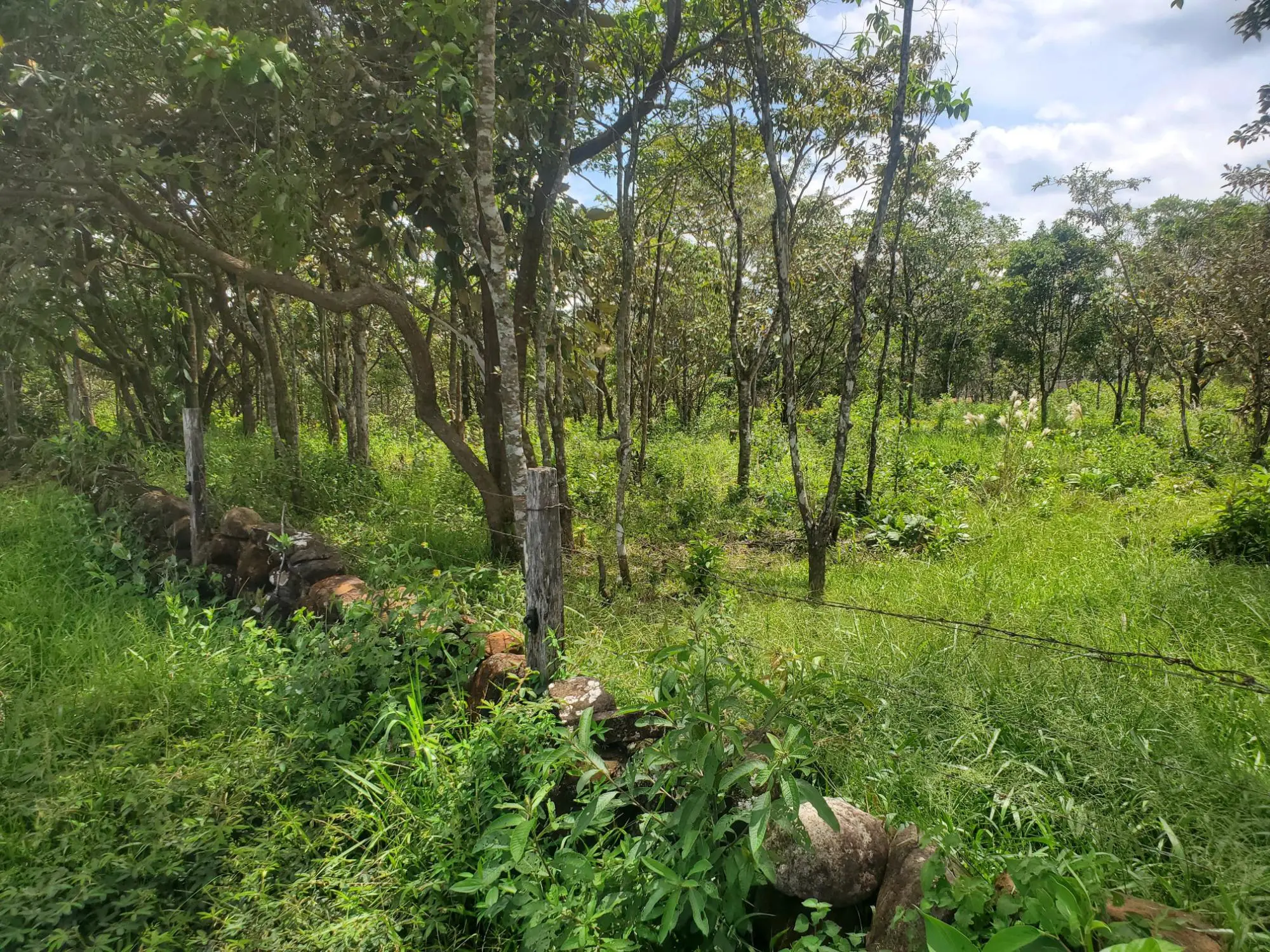 Caldera Boquete #terreno - Photo 3