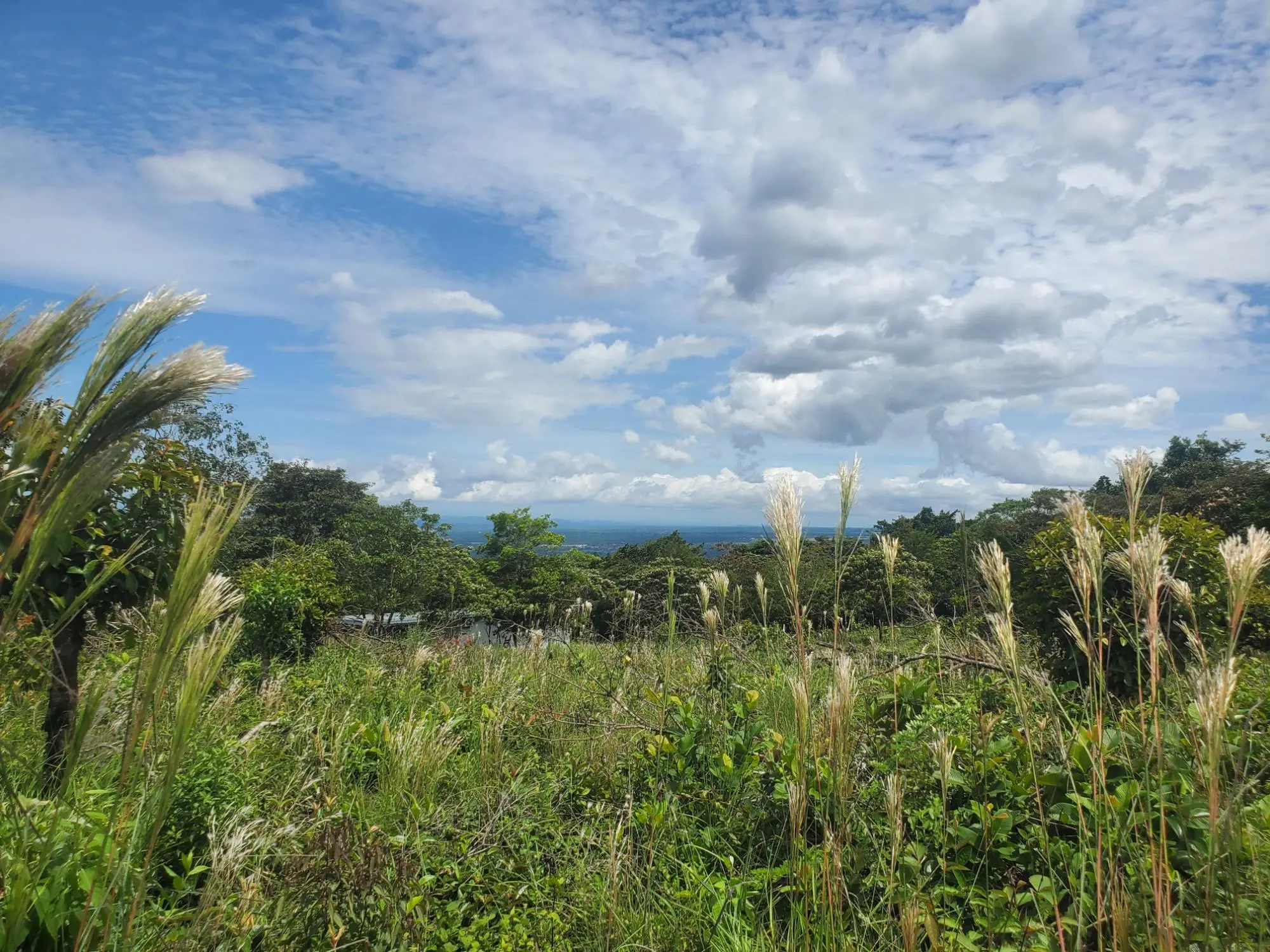 Caldera Boquete #terreno - Photo 4