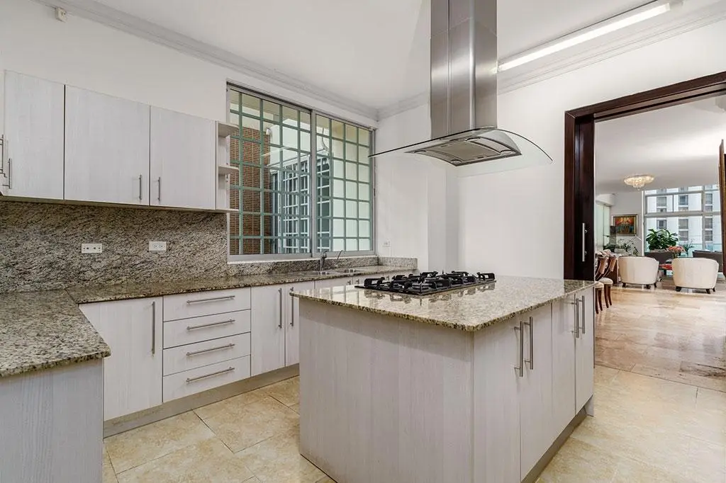 1-b Calle 76 Este - Premier Loft #1-b - Photo 30