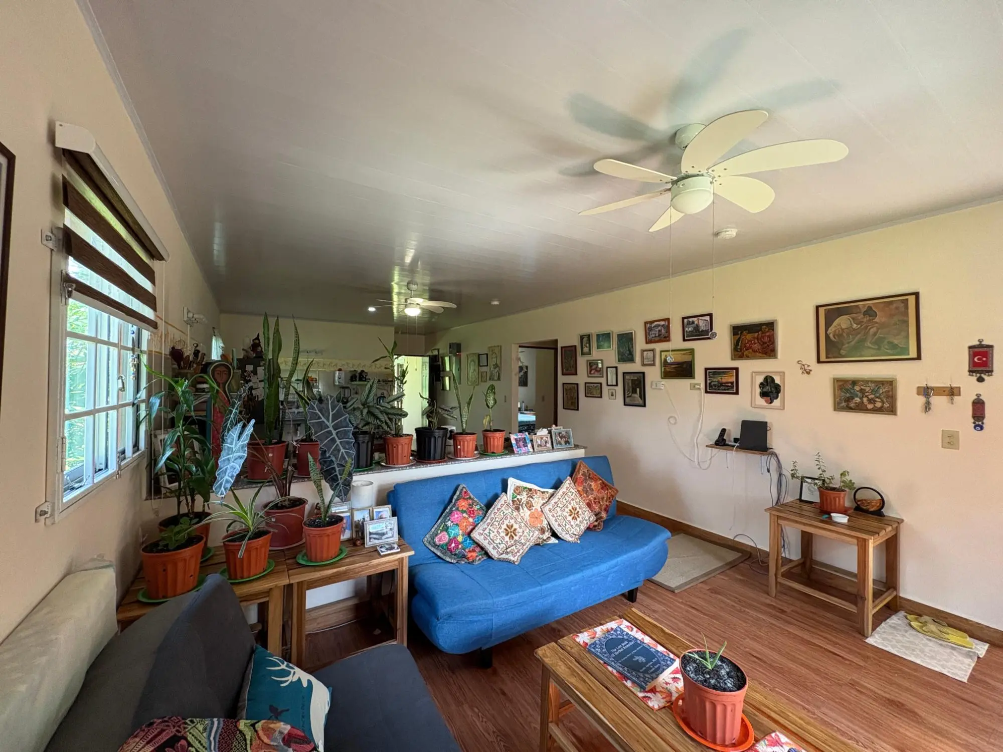 Potrerillos, Dolega - Photo 62