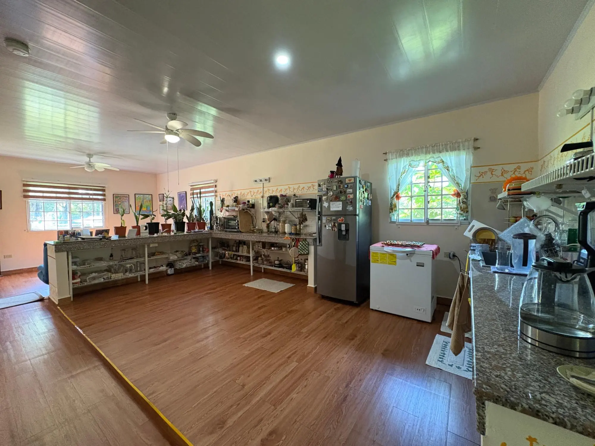 Potrerillos, Dolega - Photo 46