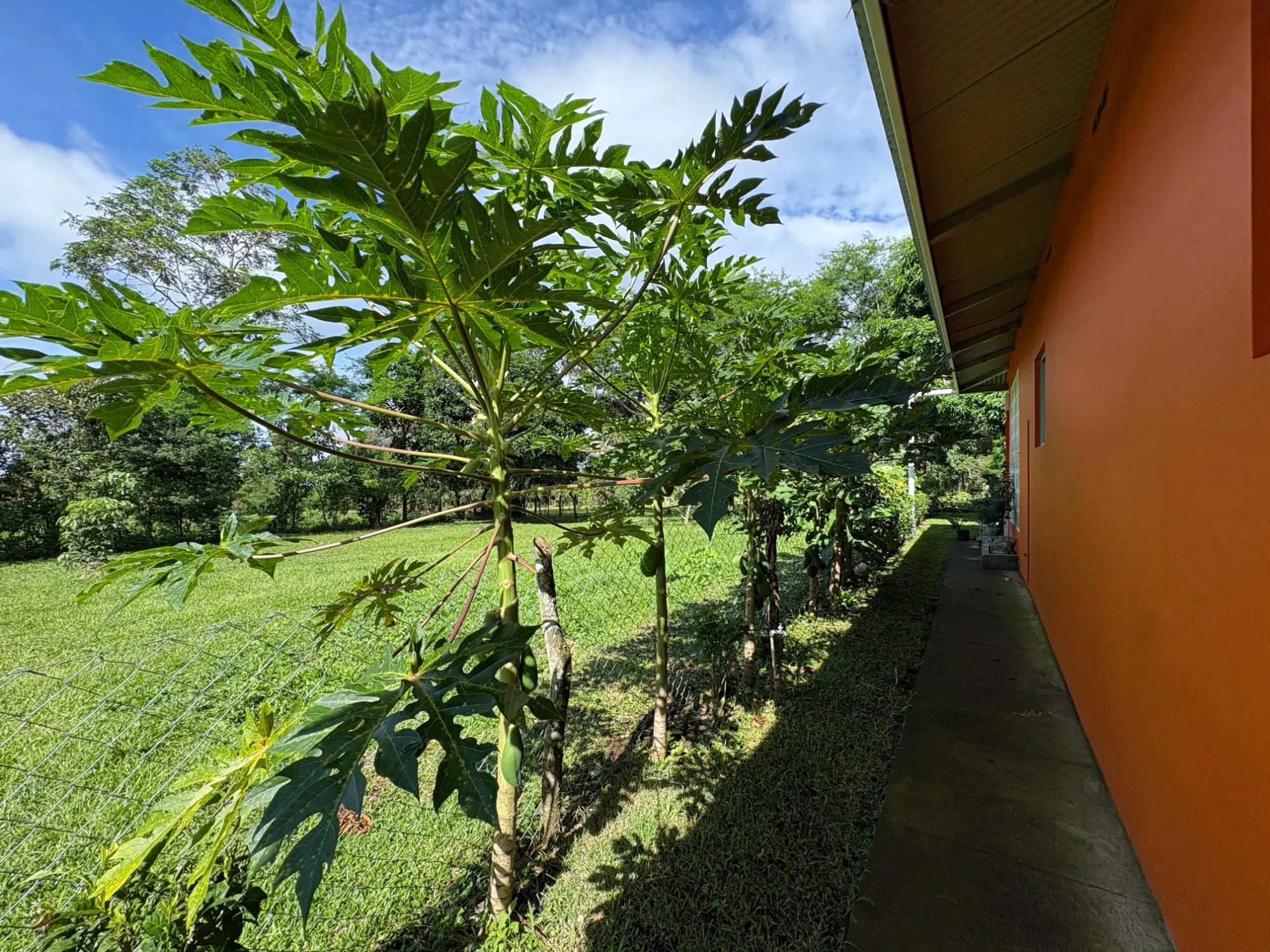 Potrerillos, Dolega - Photo 10