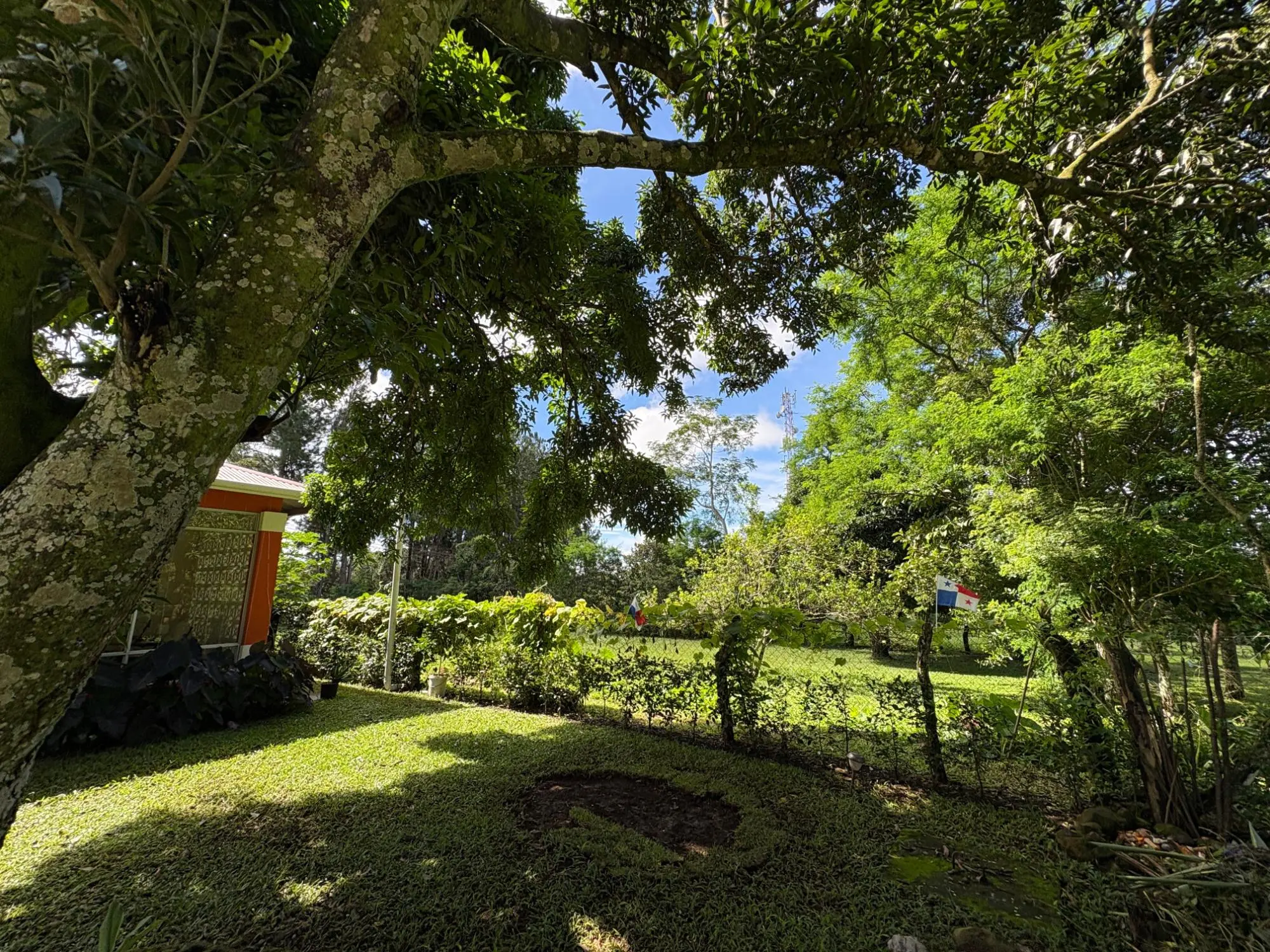 Potrerillos, Dolega - Photo 97