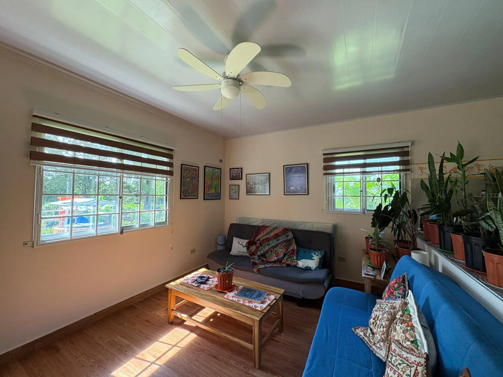 Potrerillos, Dolega - Photo 59