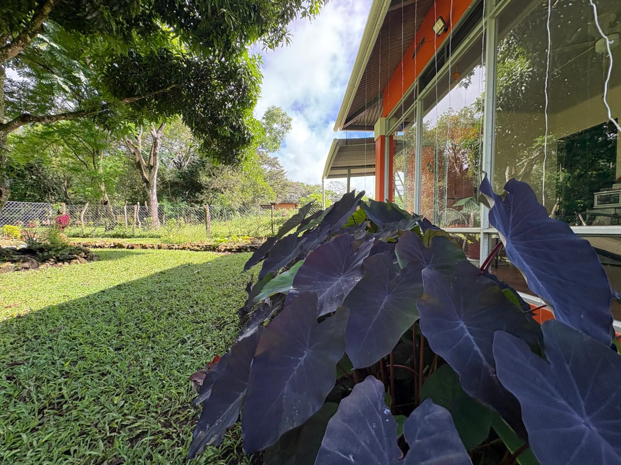 Potrerillos, Dolega - Photo 26