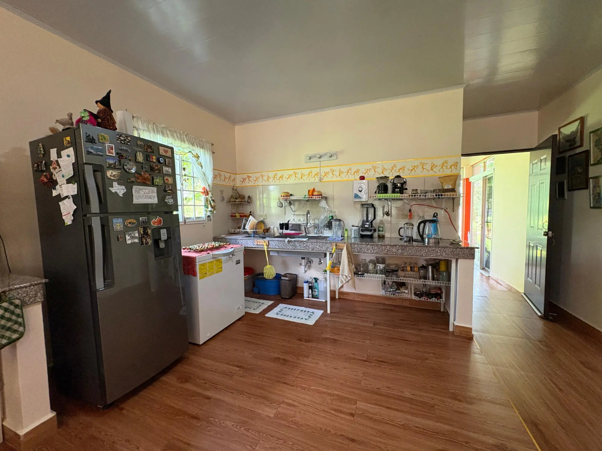 Potrerillos, Dolega - Photo 55