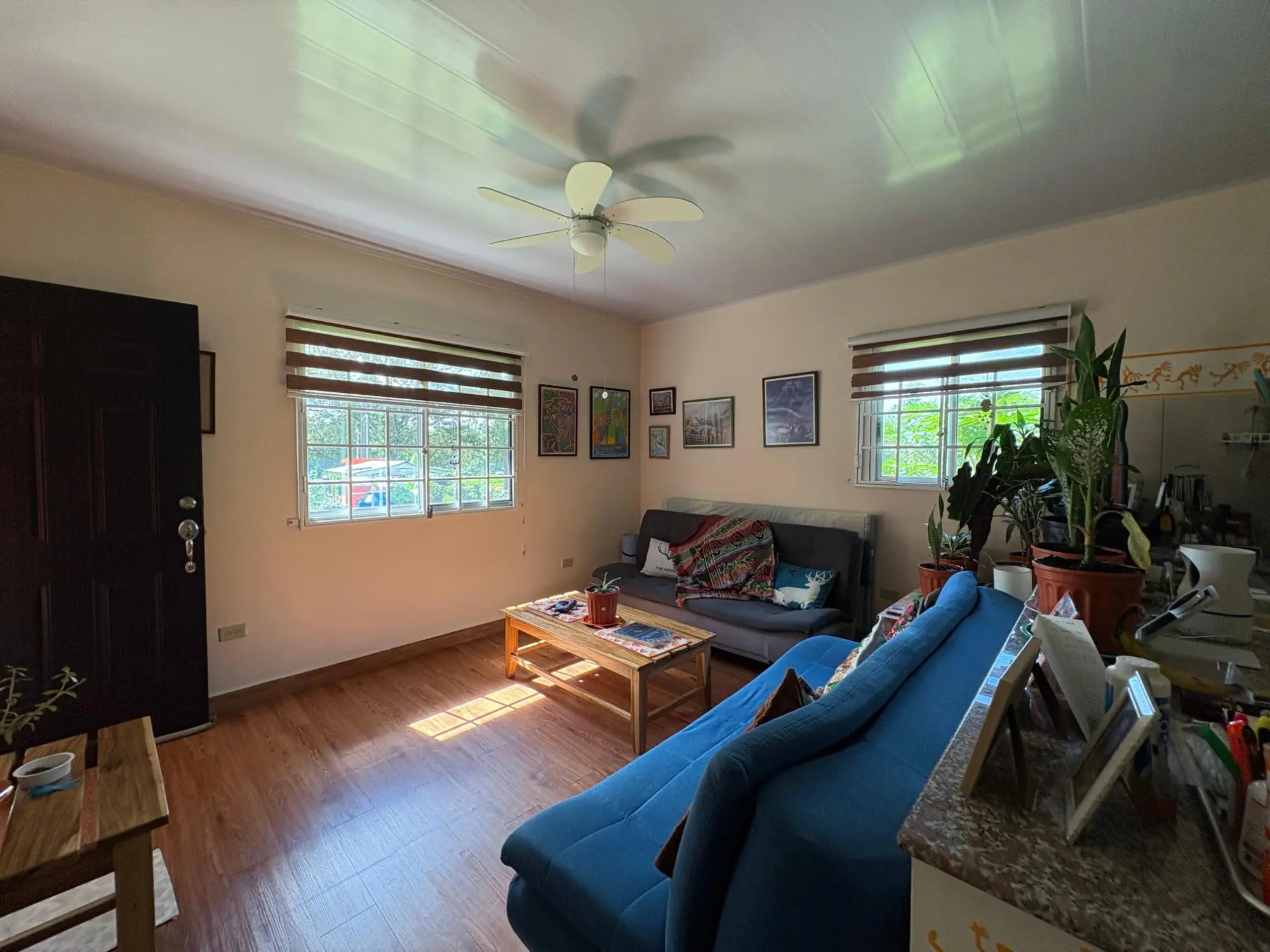 Potrerillos, Dolega - Photo 68