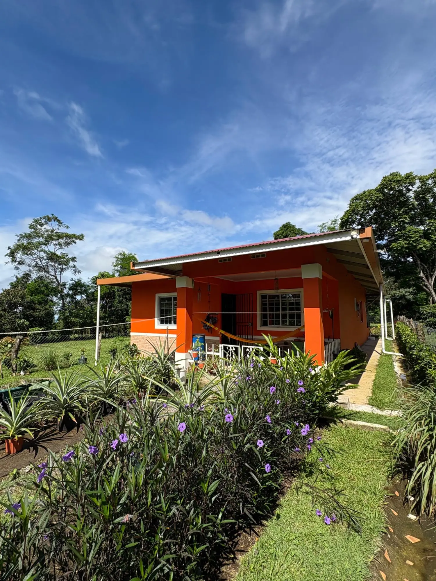 Potrerillos, Dolega - Photo 116