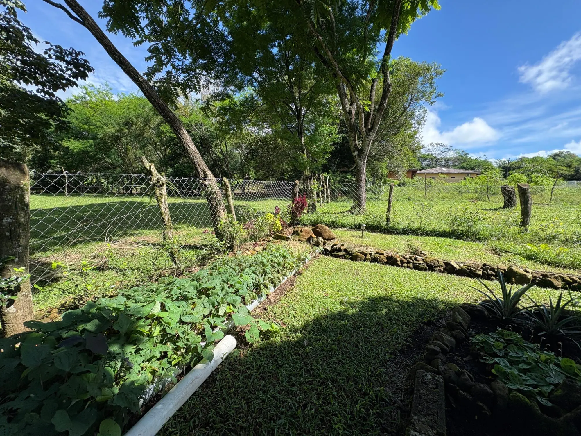 Potrerillos, Dolega - Photo 92