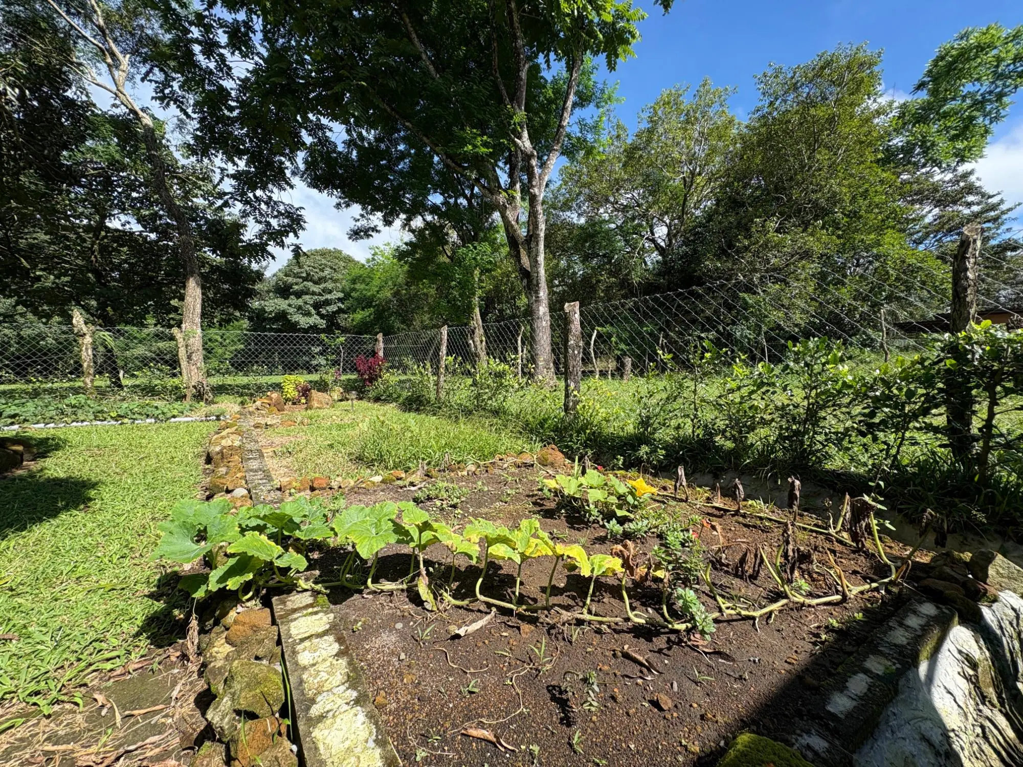 Potrerillos, Dolega - Photo 90