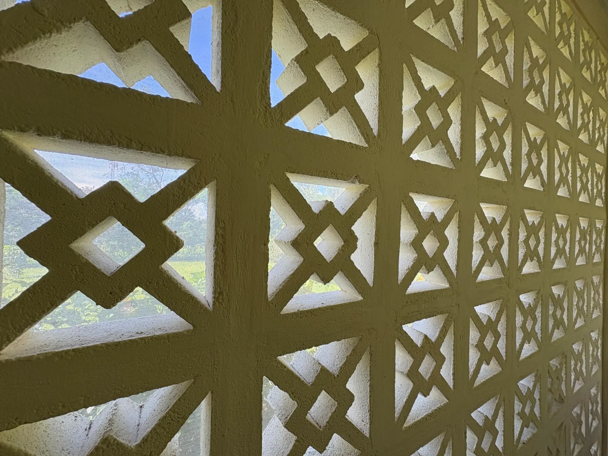 Potrerillos, Dolega - Photo 37