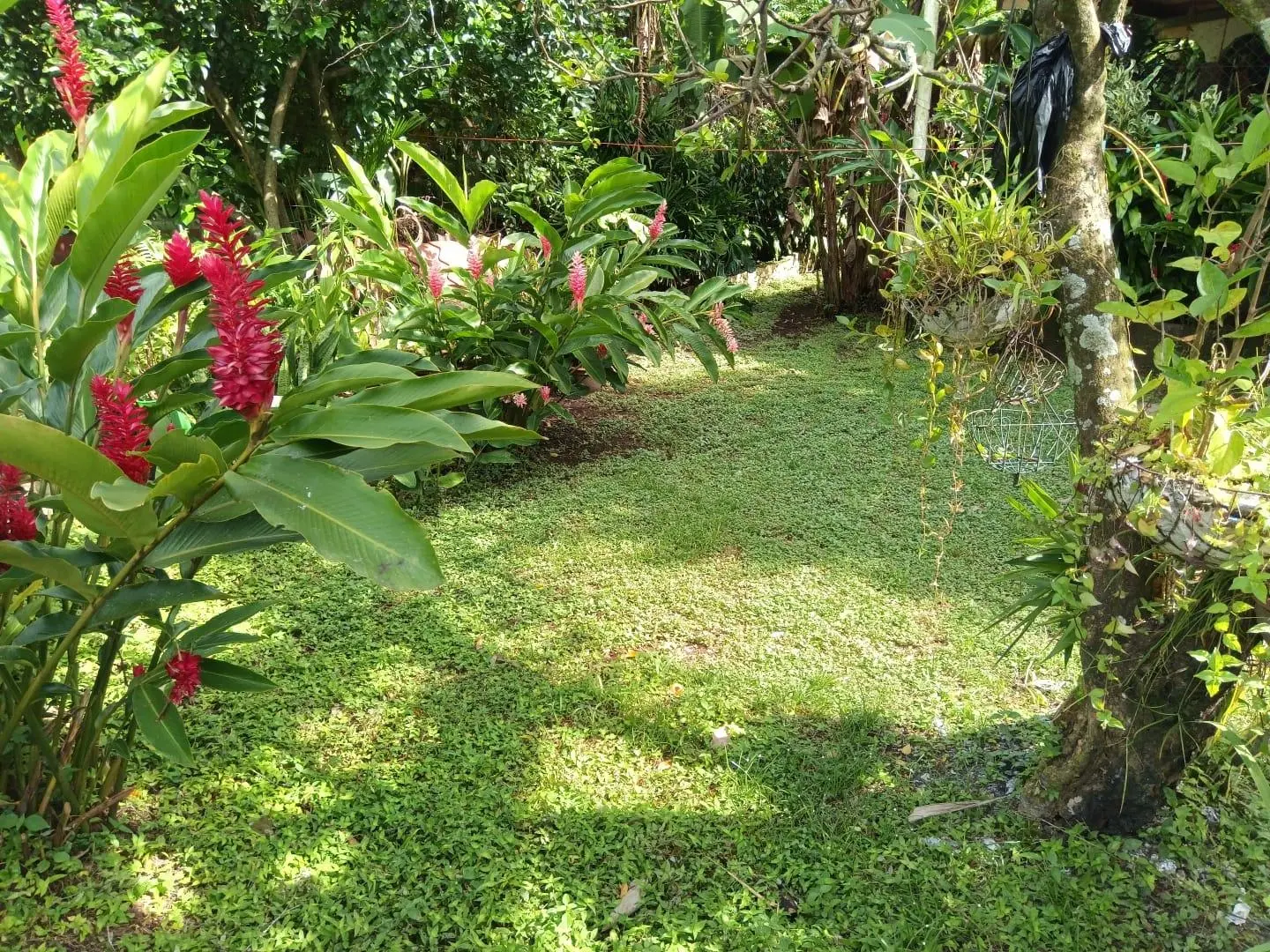 Avenida Estudiante, David, Chiriquí - Photo 36