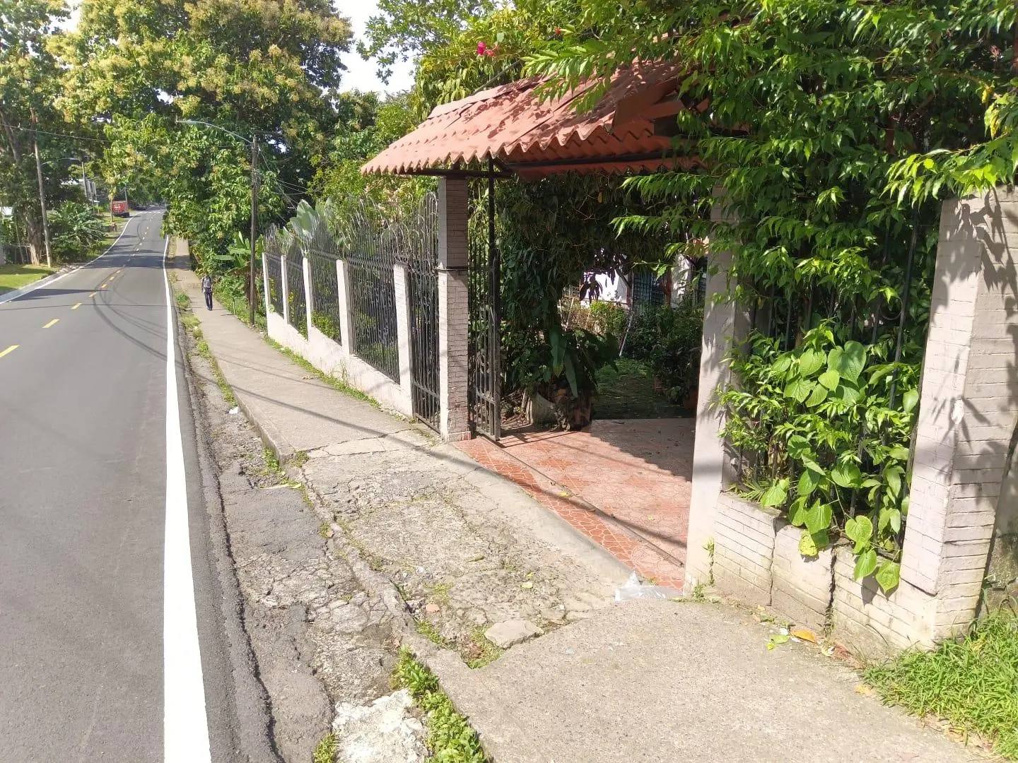 Avenida Estudiante, David, Chiriquí - Photo 5