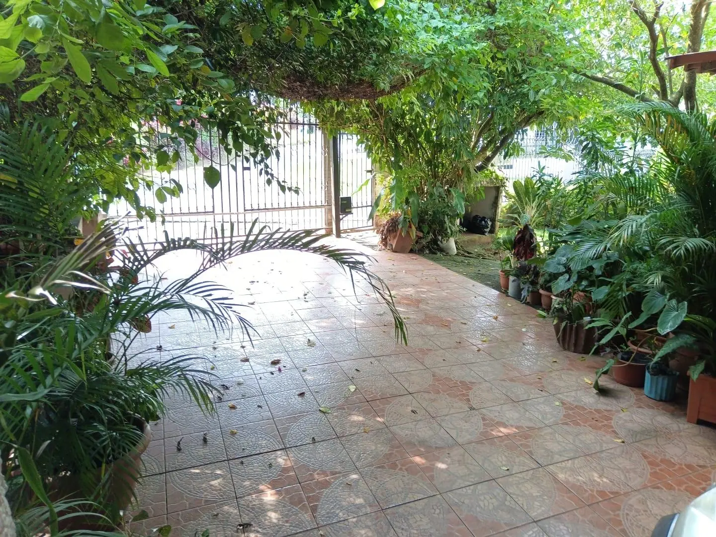 Avenida Estudiante, David, Chiriquí - Photo 7