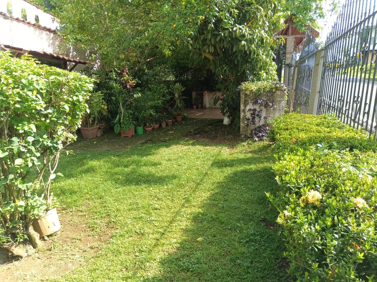 Avenida Estudiante, David, Chiriquí - Photo 72