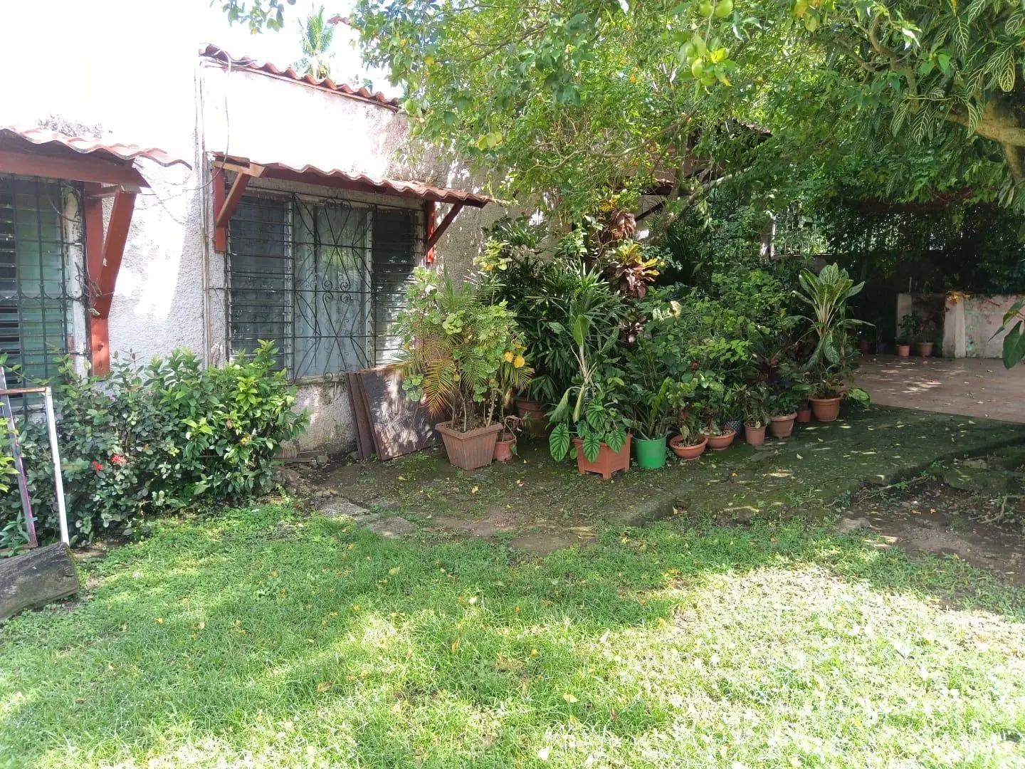 Avenida Estudiante, David, Chiriquí - Photo 69