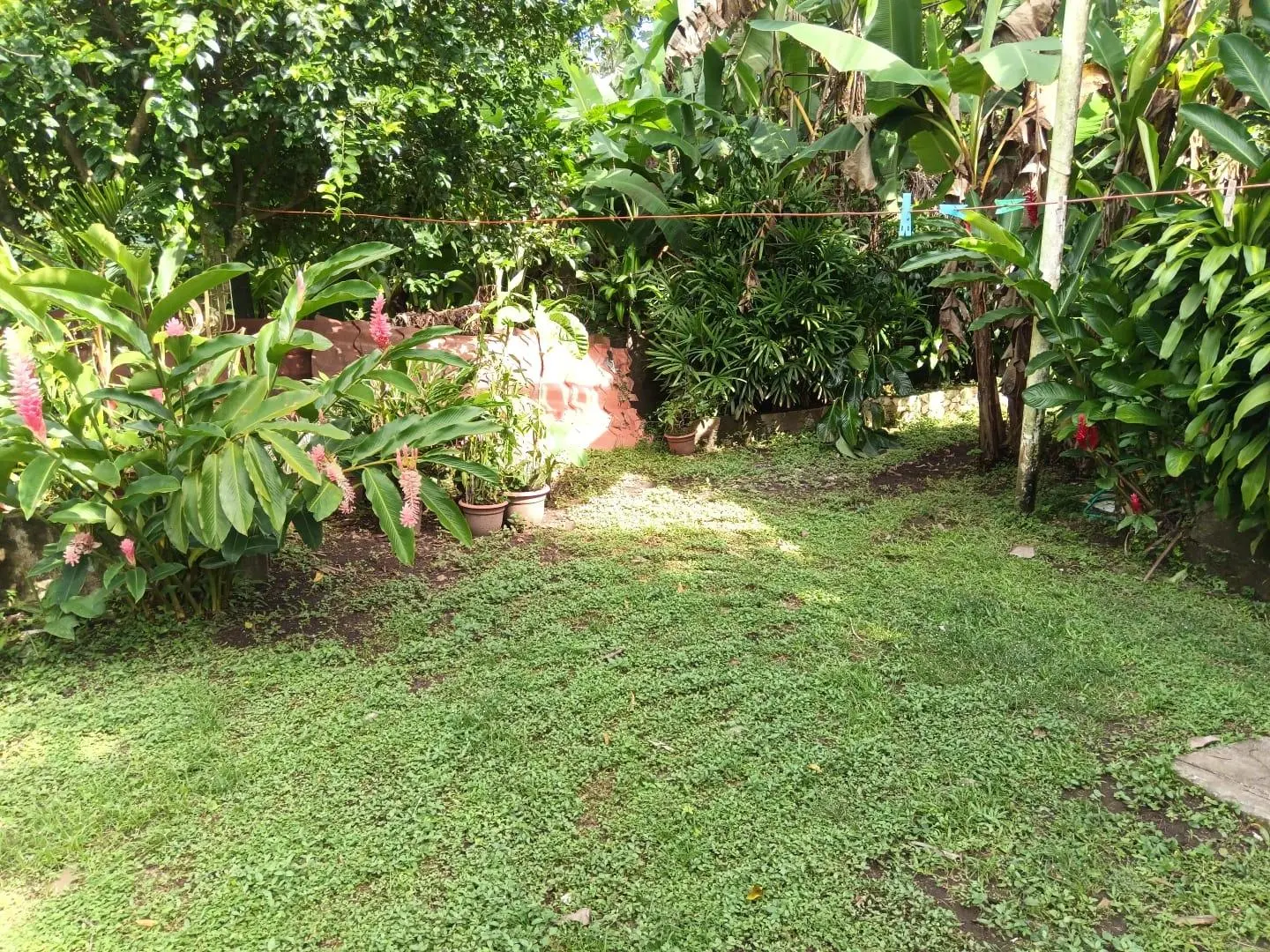 Avenida Estudiante, David, Chiriquí - Photo 32