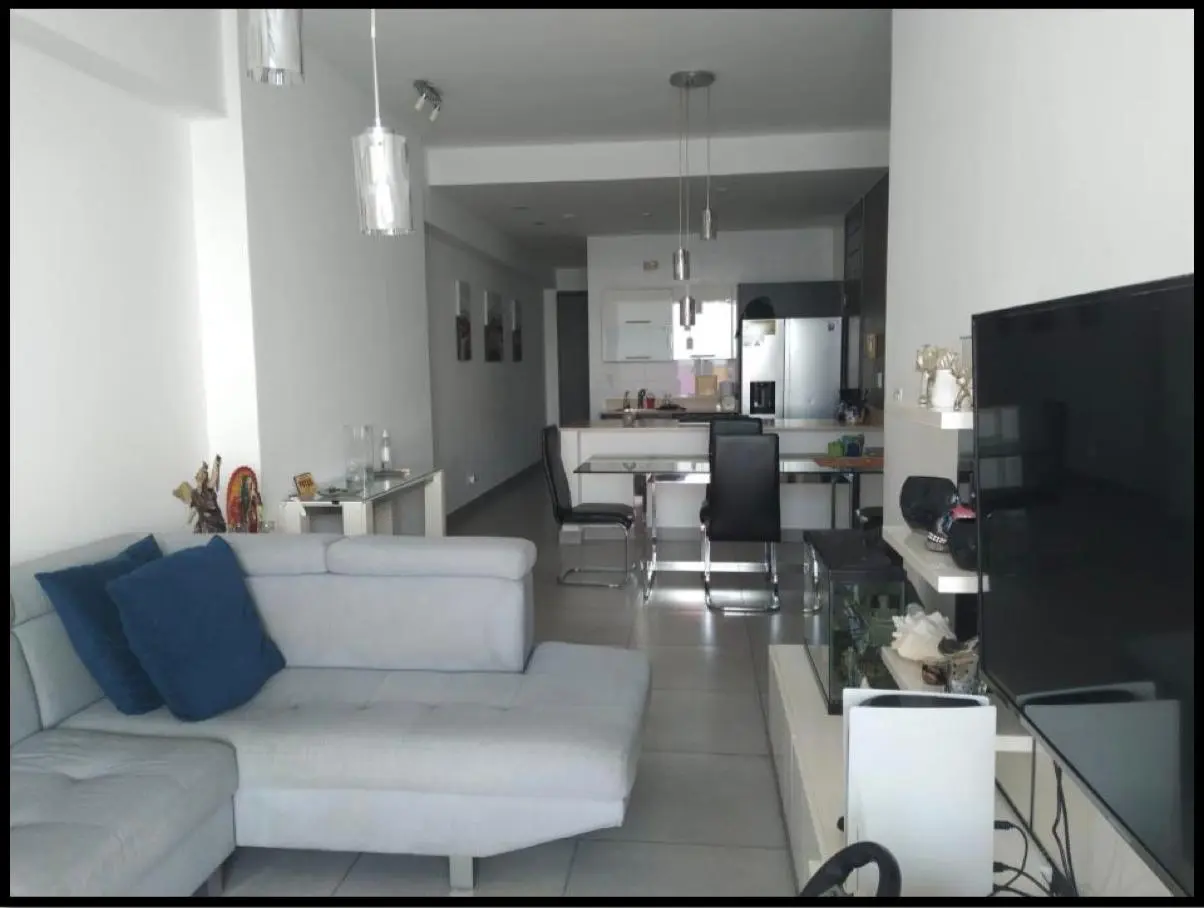 Avenida Balboa, Ph Element #11b - Photo 16