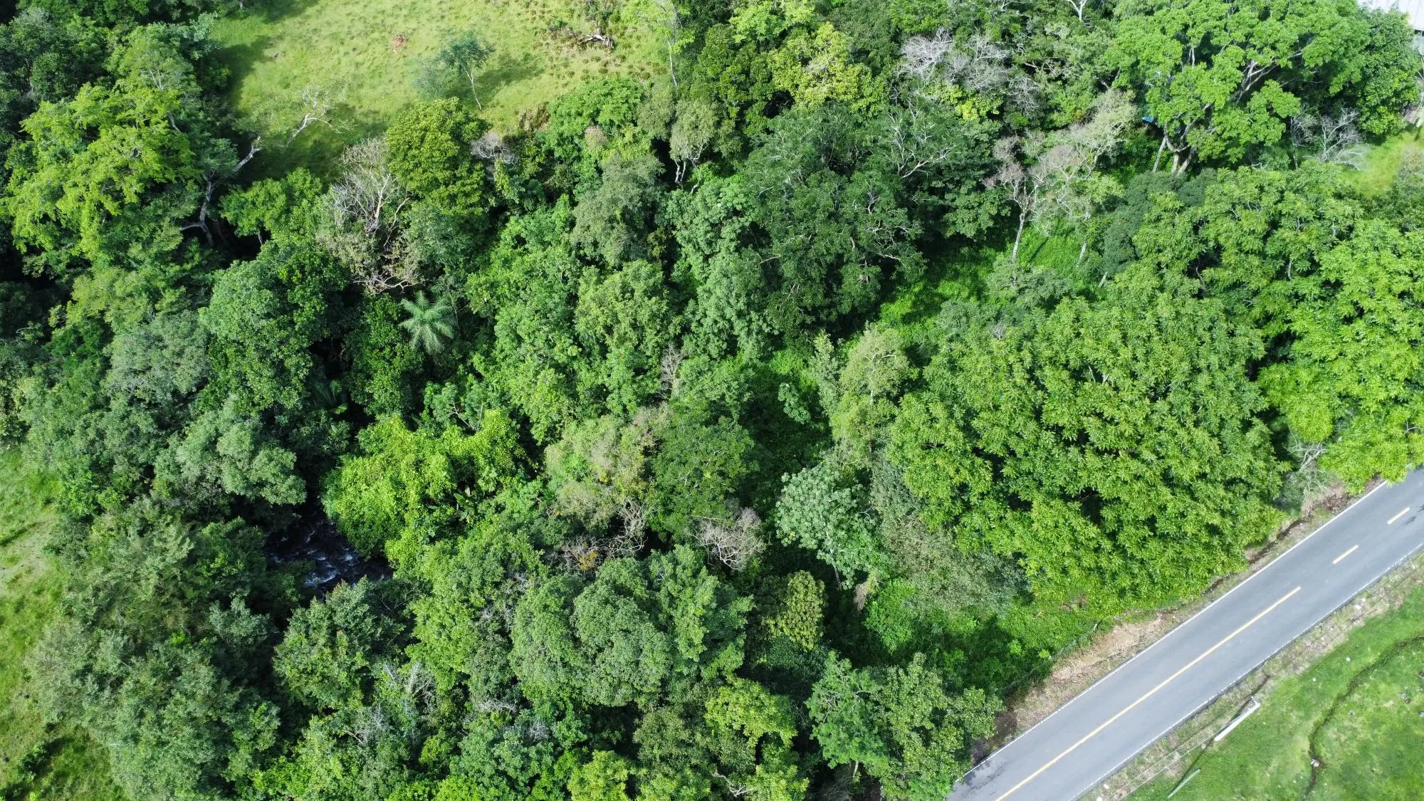 0 Chiriquí, Dolega, Tinajas - Photo 17